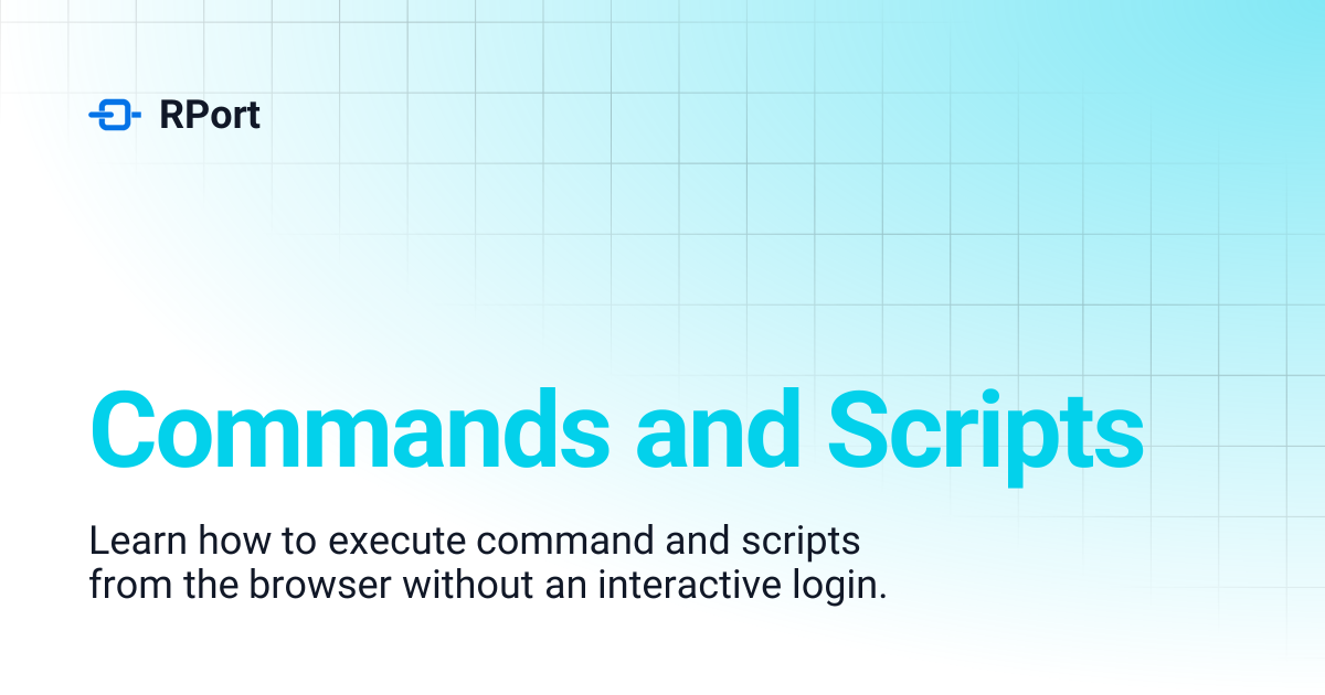 Commands and Scripts | RPort